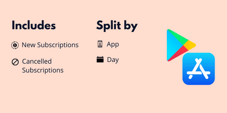 Subscriptions Report